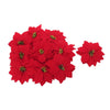 image variant Rojo