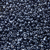image variant Acerina