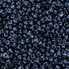 image variant Acerina