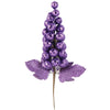 image variant Morado