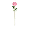image variant Rosa