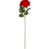 image variant Rojo