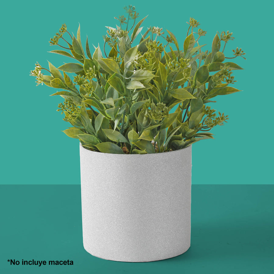 Art.9114 Planta Fina x5 36cm 1pz