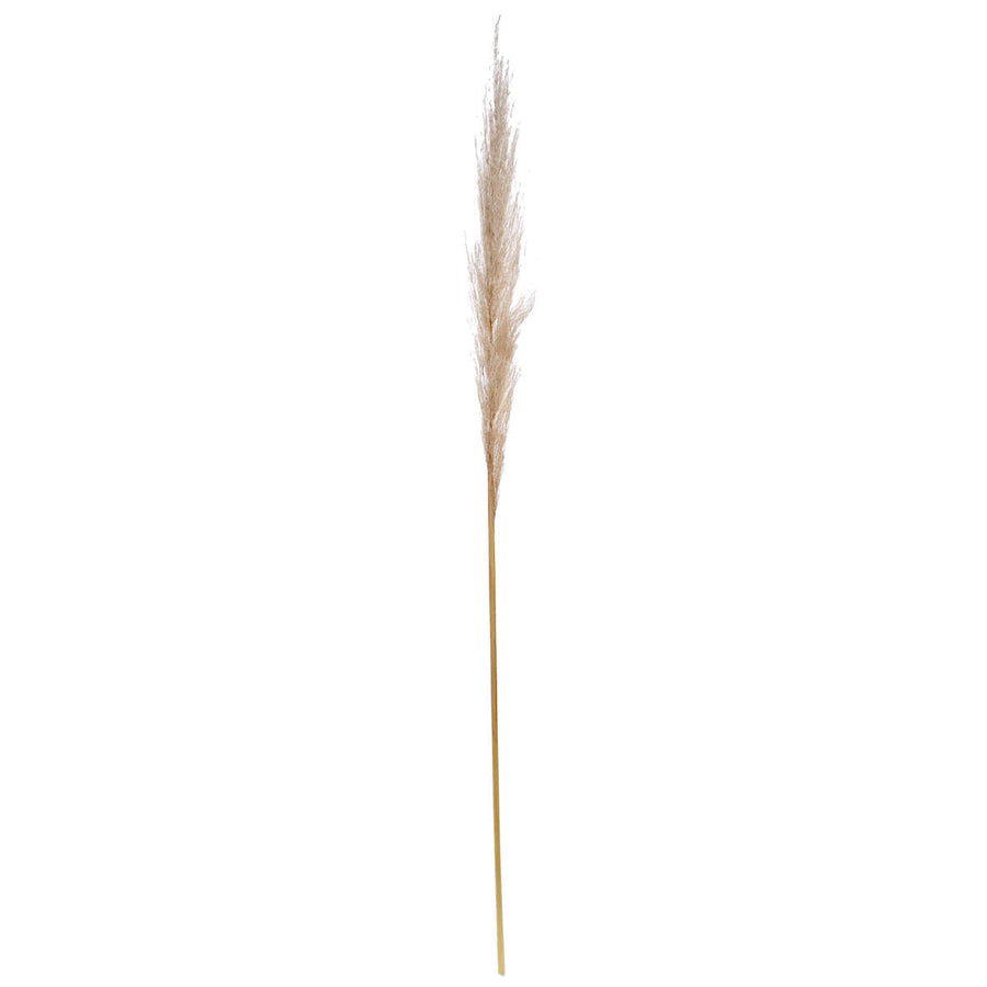 Art.946 Flor De Pampa