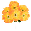 image variant Naranja