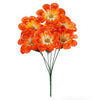 image variant Naranja