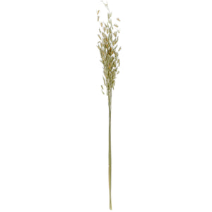 Art.9969 Ramo Avena 70cm