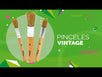 Fantasías Miguel Art.7237 Juego De Pinceles  3pz