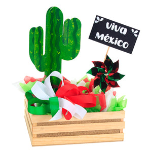Centro De Mesa Viva México