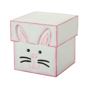 Caja Conejo Con  Fomi Moldeable