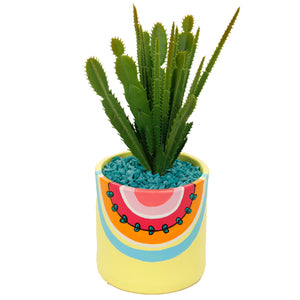 Maceta Con Cactus Boho