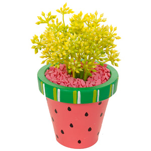 Maceta Sandia