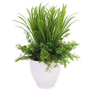 Arreglo Natural