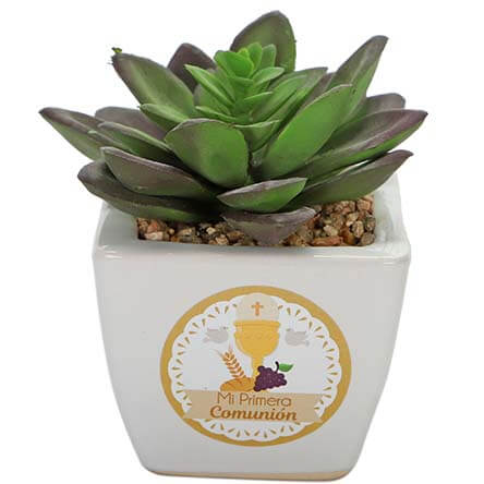 Cactus Comunión