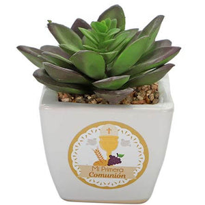 Cactus Comunión