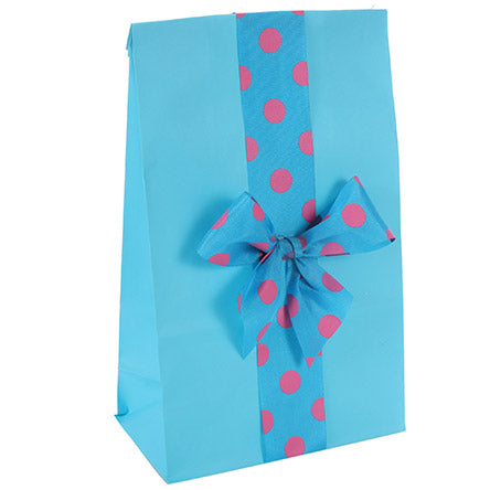 Bolsa Azul Con Listón De Puntos