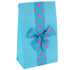 Bolsa Azul Con Listón De Puntos