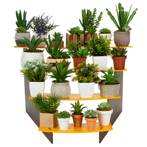 Escalera Con Macetas Cactus